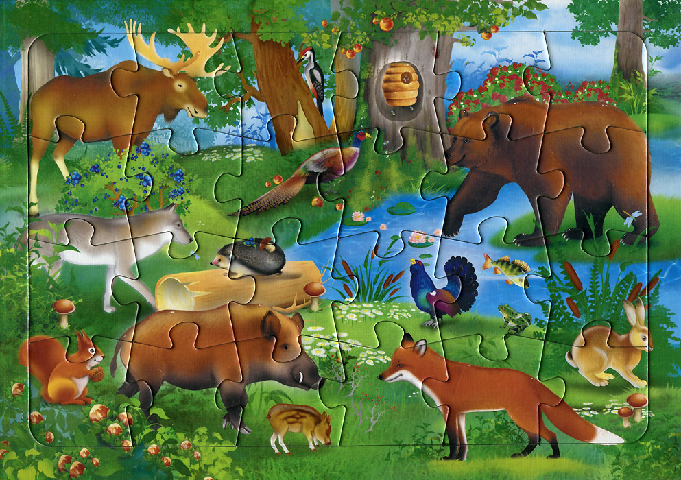 Картинки Лесных Животных Для Детей Распечатать Цветные