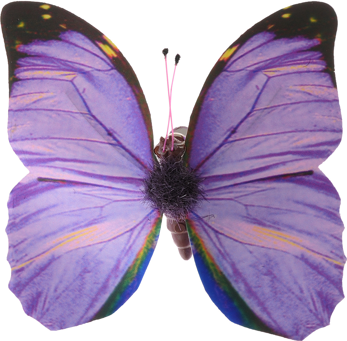 Papilio Troilus бабочка