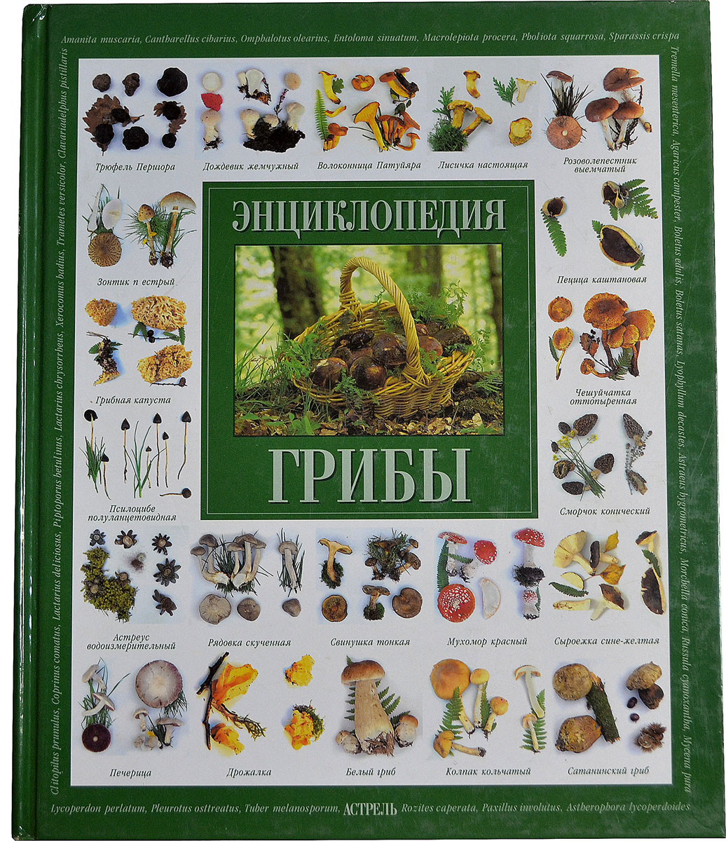 Грибная книга с картинками