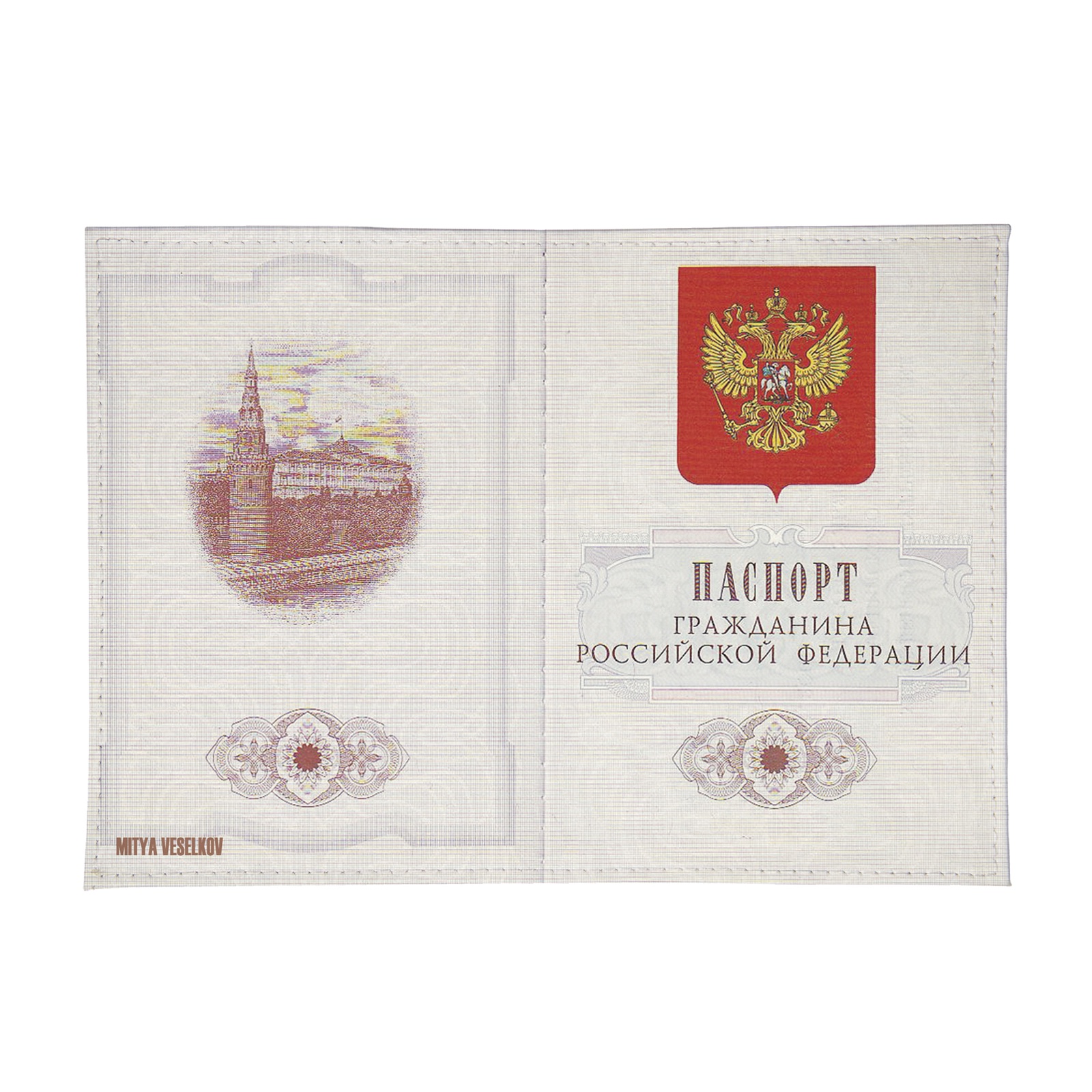 Обложка для паспорта Mitya Veselkov гражданин РФ ozam045