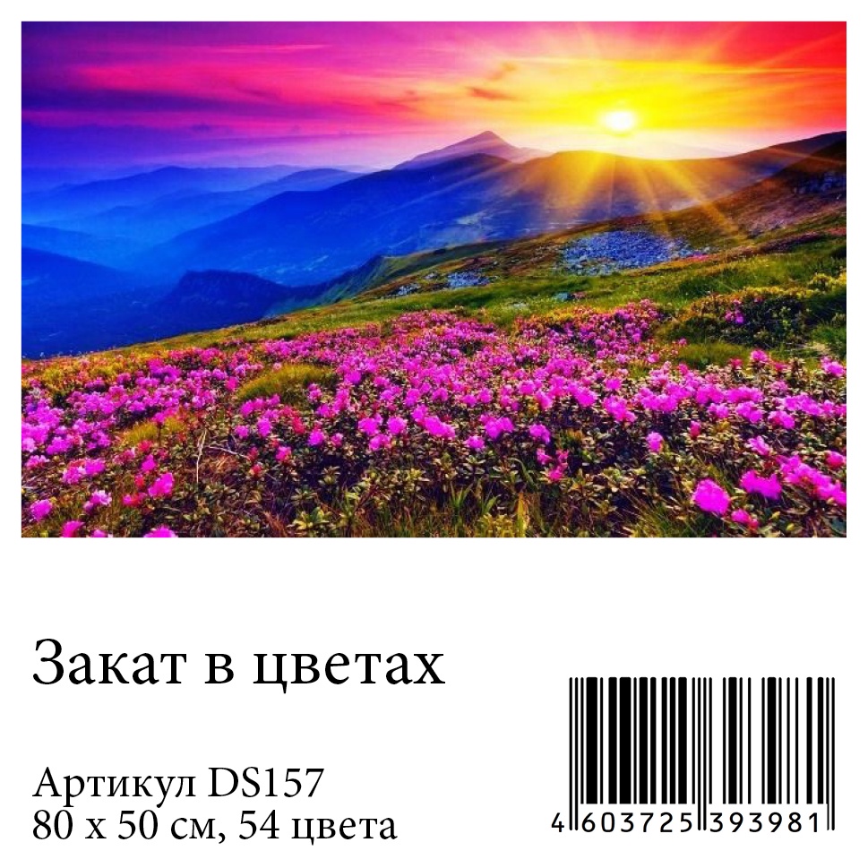Цветок 54 Интернет Магазин