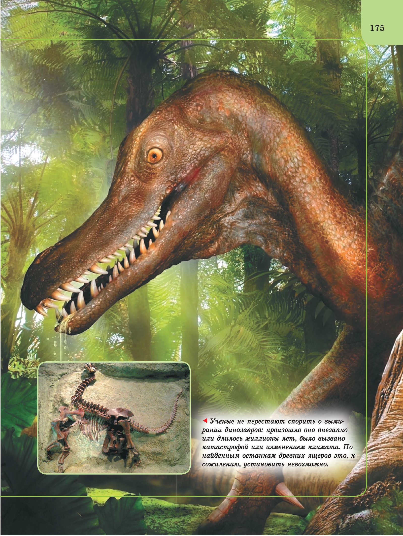 Хищные динозавры и их названия