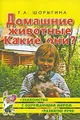 Домашние животные. Какие они?