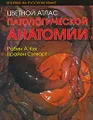 Цветной атлас патологической анатомии