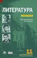 Литература. 11 класс. Базовый уровень. Практикум