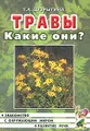 Травы. Какие они?