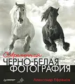 Современная черно-белая фотография