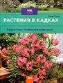 Растения в кадках