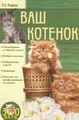 Ваш котенок