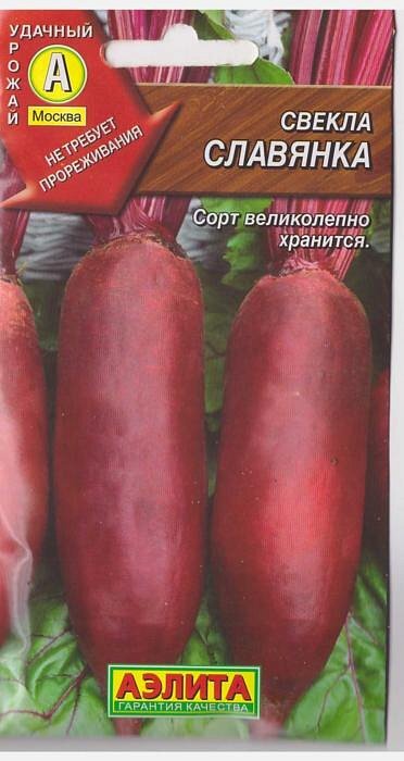 Свекла Славянка Описание Сорта Фото
