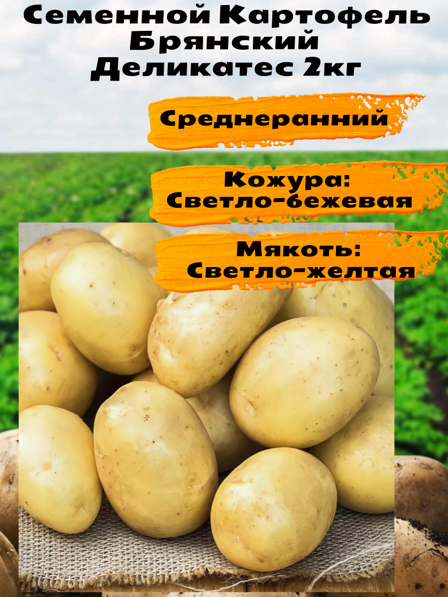 Институт Лорха сорта картофеля