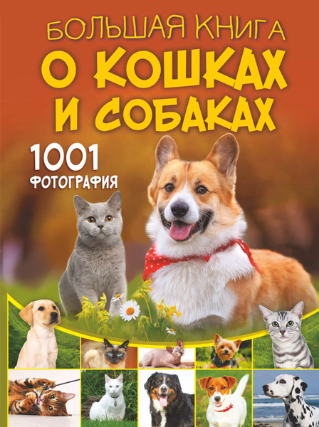 Большая книга о кошках и собаках. 1001 фотография - купить с доставкой ...