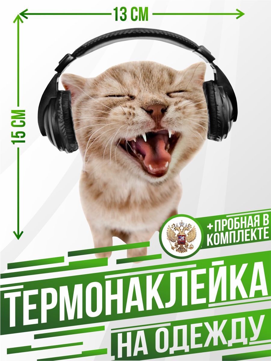 Котик в наушниках картинки