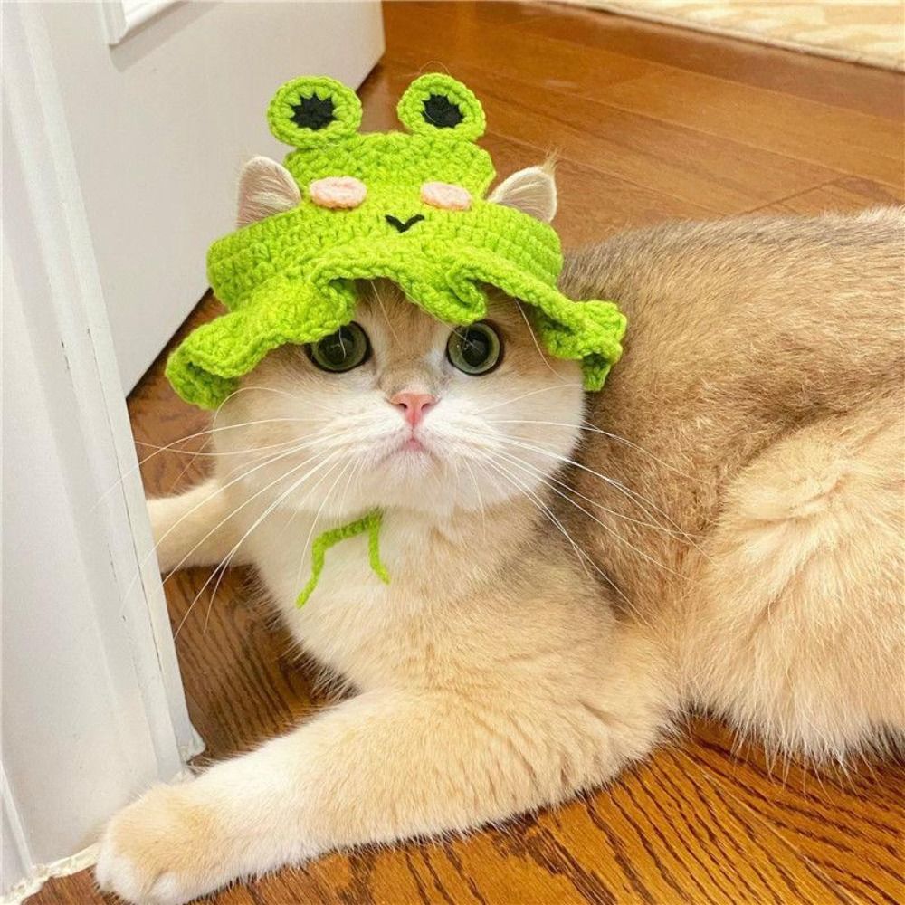 Котик с шапочкой лягушки