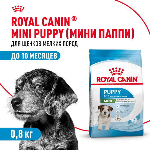 Royal Canin Mini Puppy