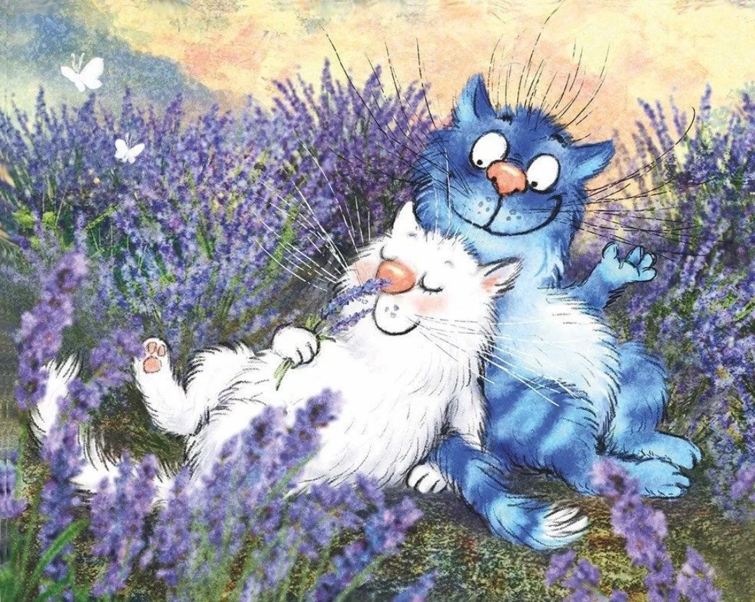 Рина зенюк синие котята