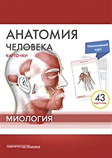 Анатомия человека : 43 карточки. Миология - купить с доставкой по ...