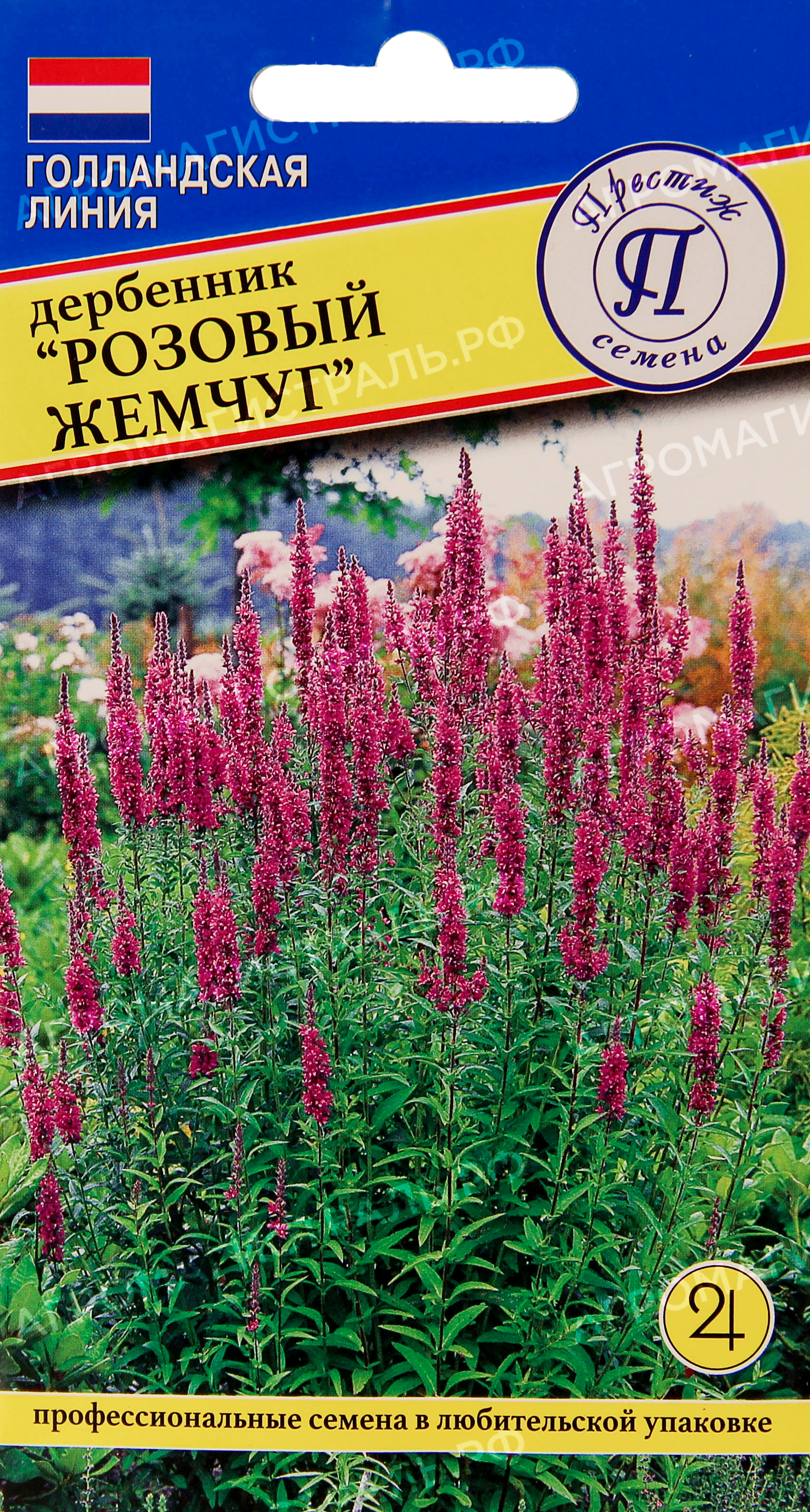 Дербенник розовый жемчуг семена
