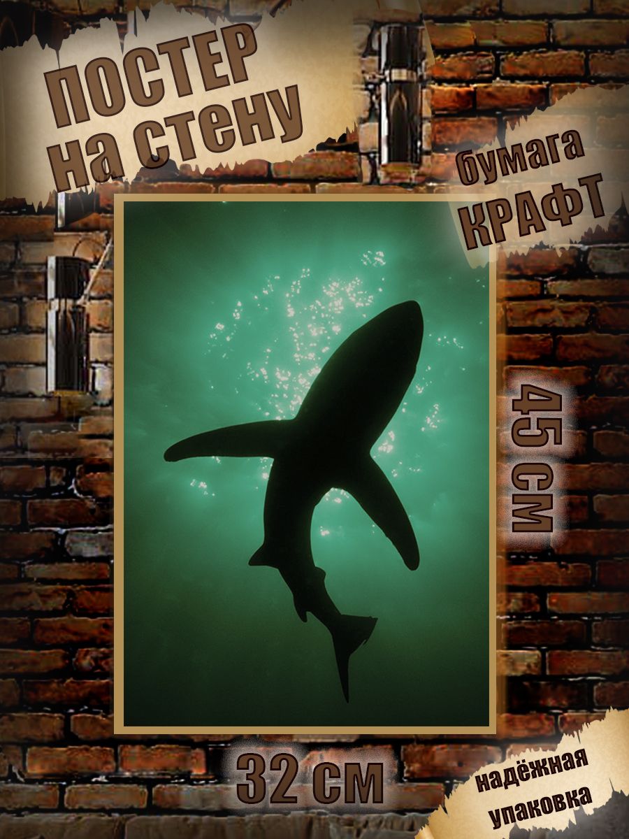 Обои black shark