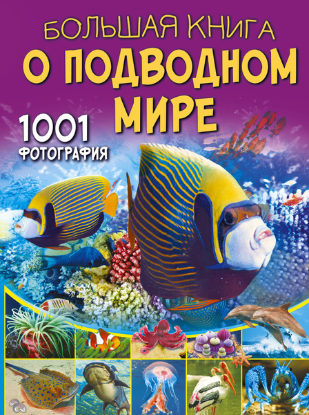 Большая книга о подводном мире. 1001 фотография - купить с доставкой по ...