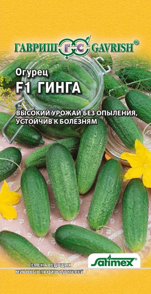 Огурец Гинга F1 Отзывы Фото — Mixyfotos.ru