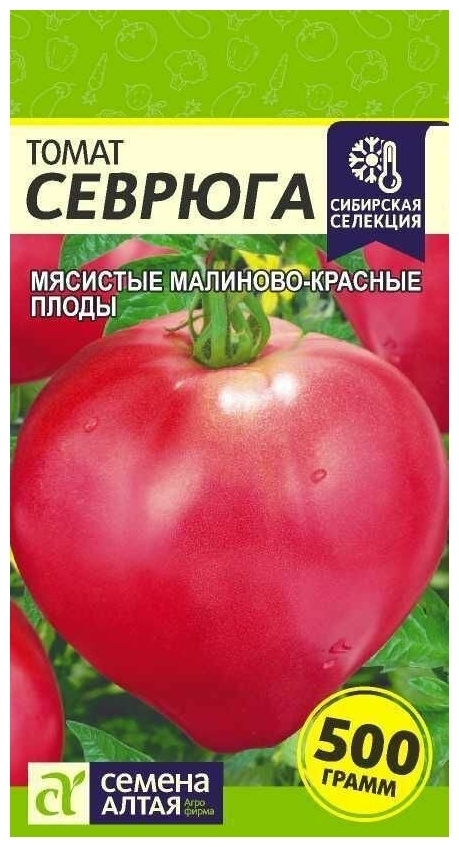 Томат Севрюга Описание Фото Отзывы Характеристика – Telegraph