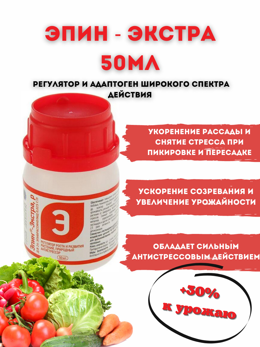 Эпин Купить В Интернет Магазине В Москве