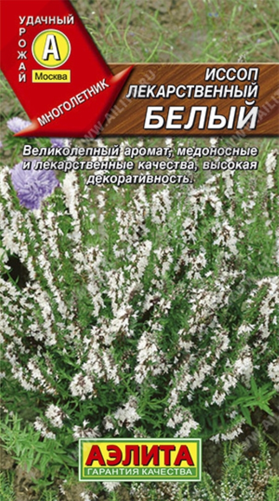 Семена Лекарственных Растений Купить В Интернет Магазине