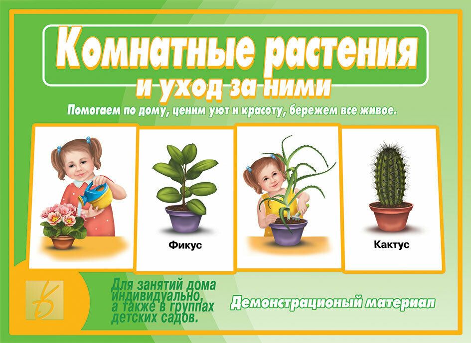 Картинки Комнатные Растения Для Дошкольников