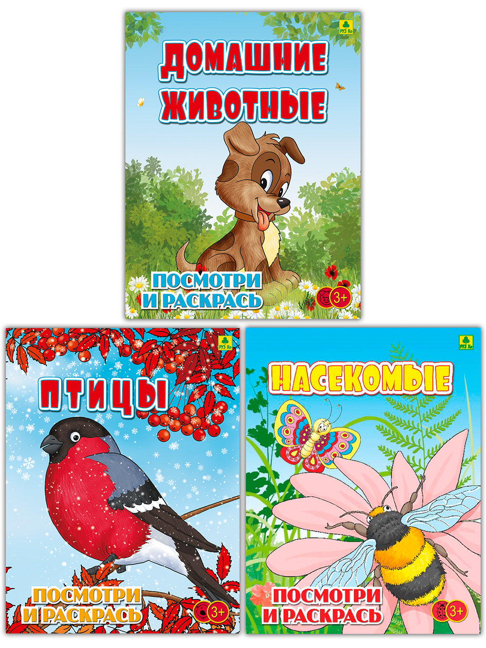 Руз Ко Купить