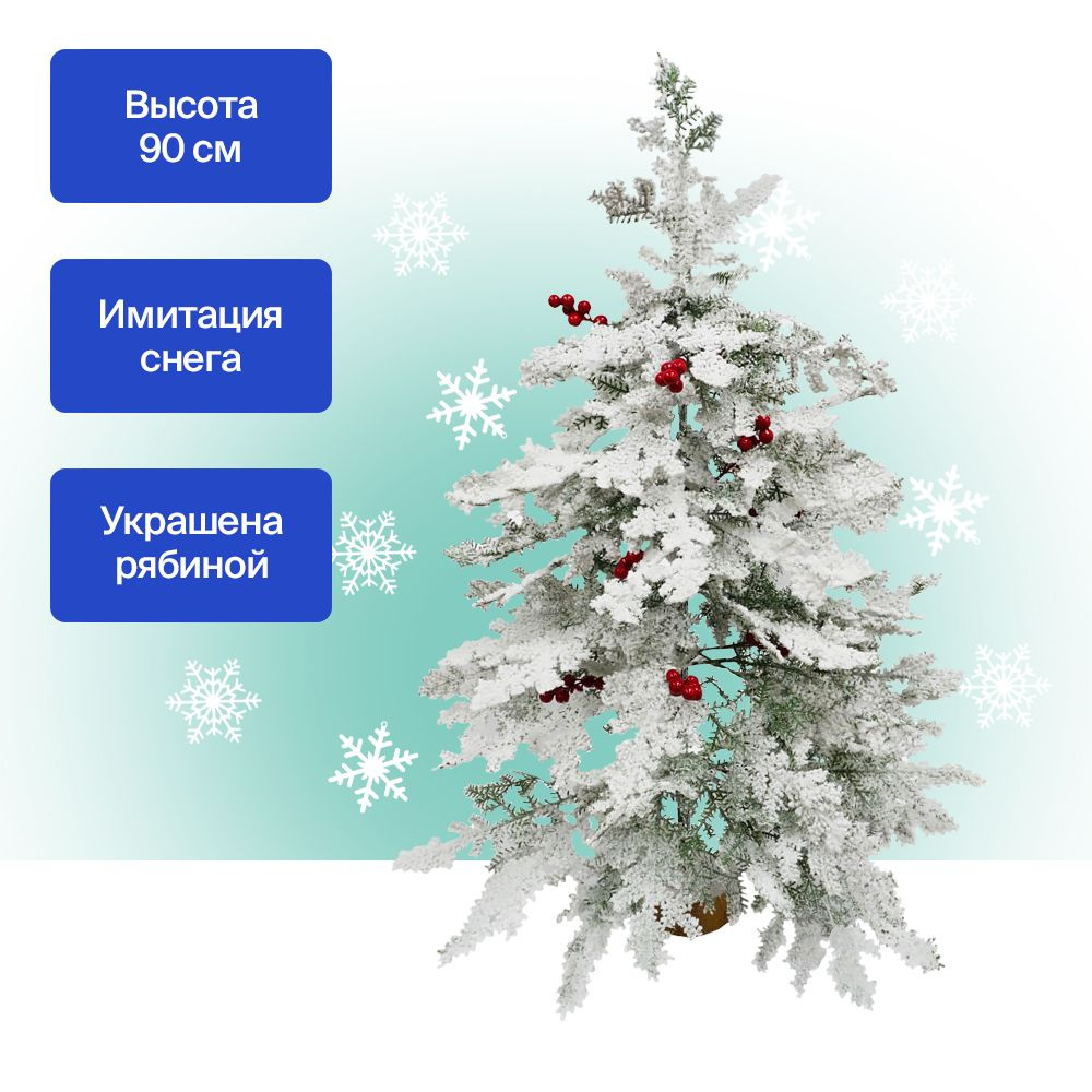 Becompact Ru Интернет Магазин Москва
