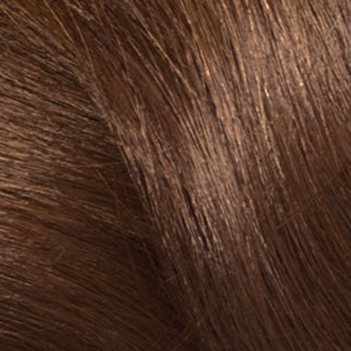 краска для волос цвет лесной орех фото