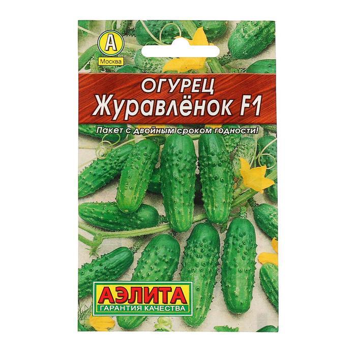 Огурец Журавленок Фото
