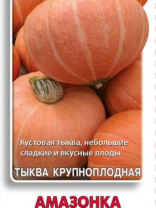 Тыква Амазонка Фото – Telegraph