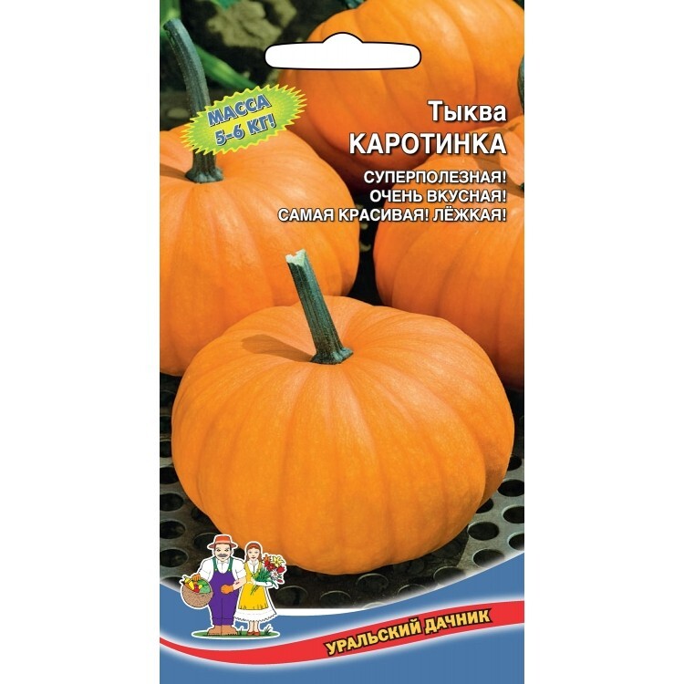 Тыква Зорька Описание И Фото Отзывы – Telegraph