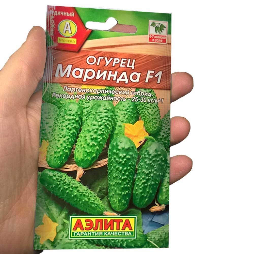 маринда огурцы фото