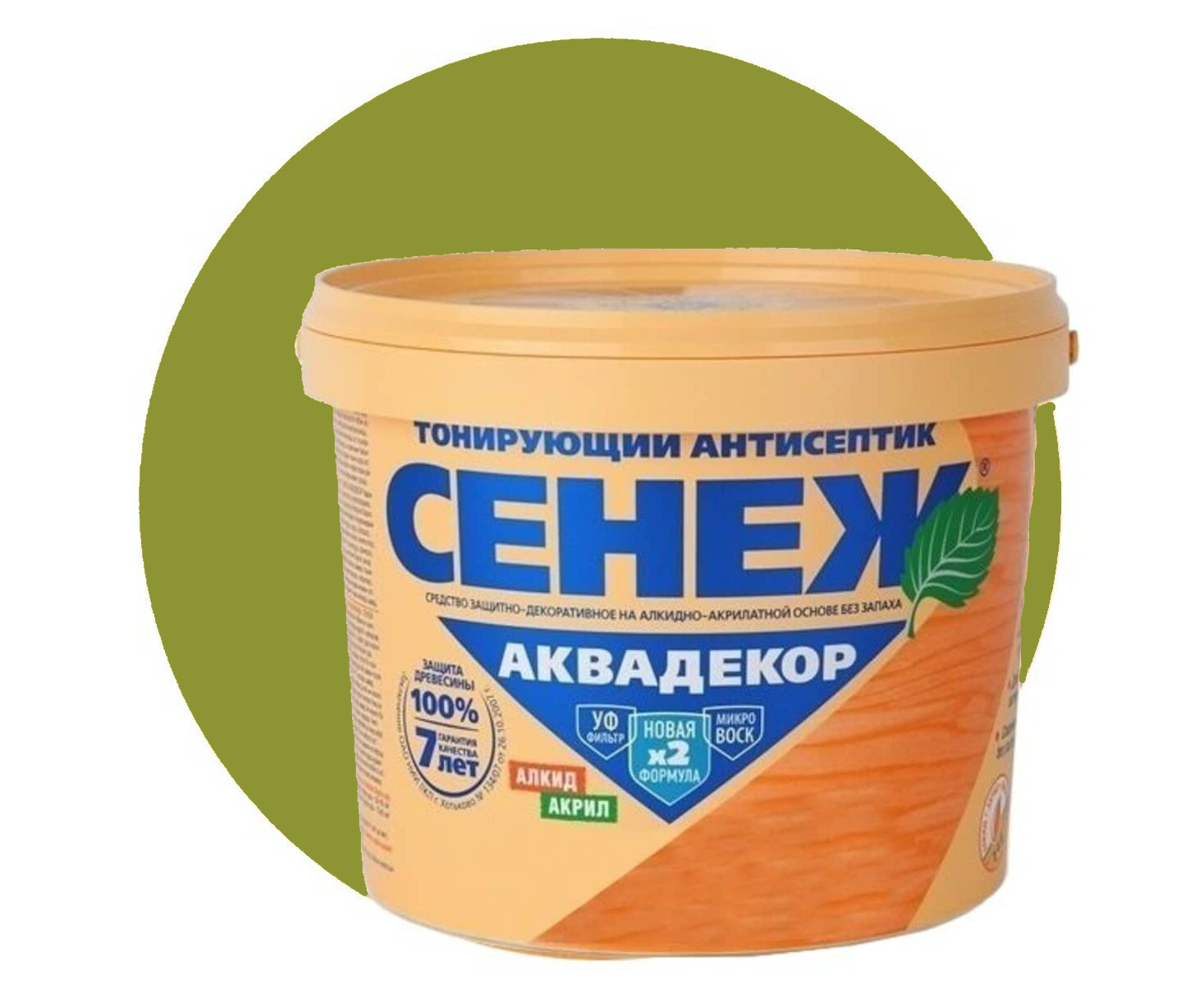 Сенеж Дуб Фото