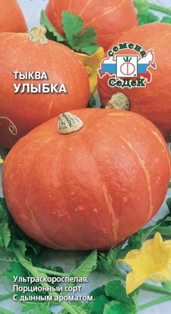 Тыква Улыбка Описание И Фото Отзывы – Telegraph