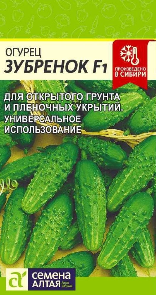 Семена Алтая Интернет Магазин Отзывы Семена Алтая Интернет Магазин Отзывы