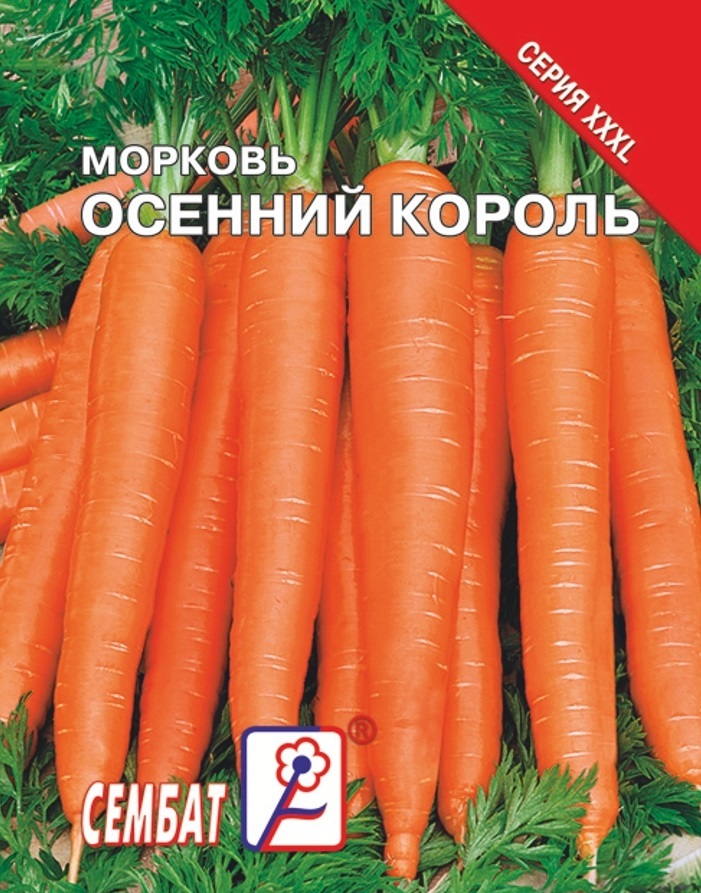Морковь Осенний Король Описание Сорта Фото Отзывы