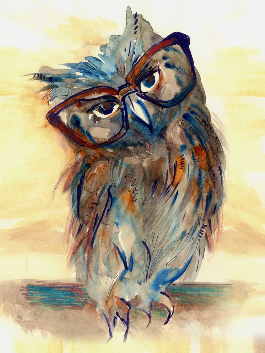 Рисунок совы красками