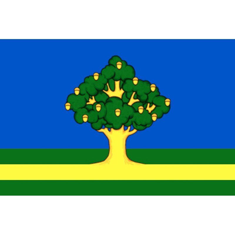 Флаг Подмосковья Фото – Telegraph