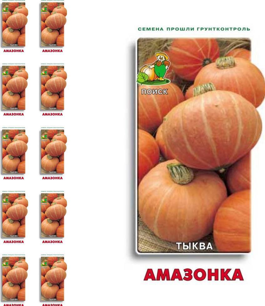 Тыква Амазонка Фото – Telegraph