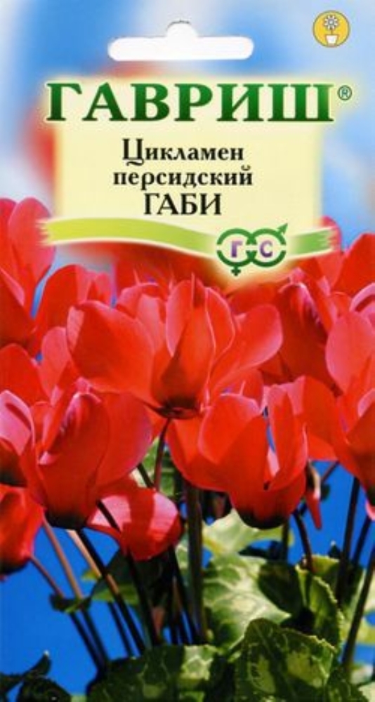 Семена Комнатных Цветов Каталог С Фотографиями — Фото Картинки