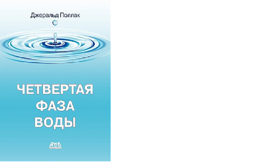Отзывы Интернет Магазин Фаза Спорта