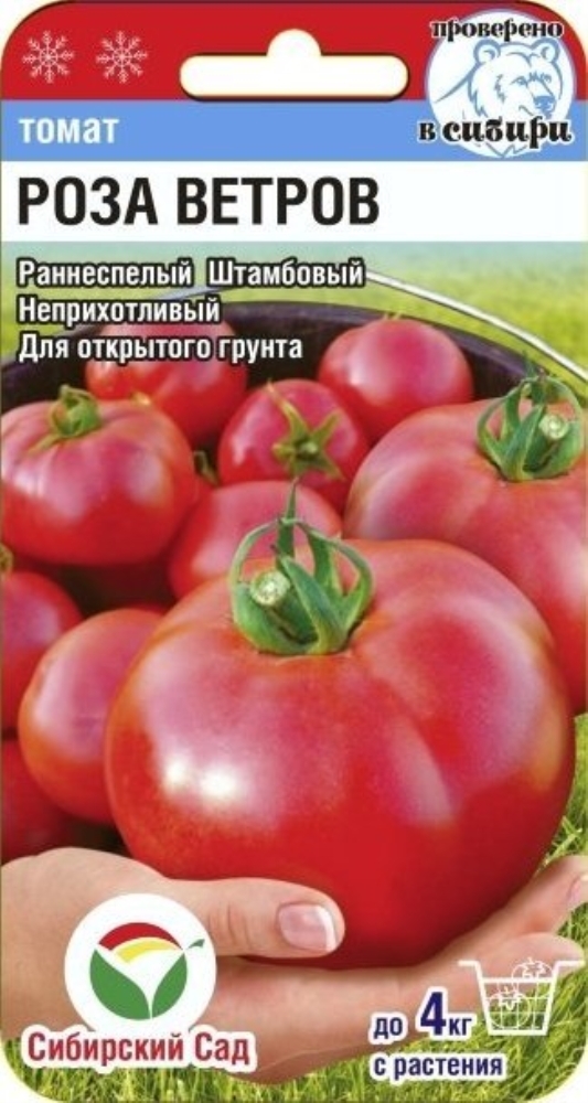 Томат Роза Фото — Mixyfotos.ru