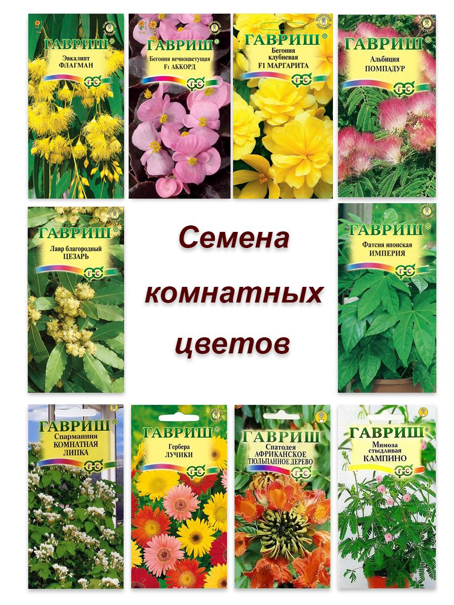 Семена Комнатных Растений Интернет Магазин