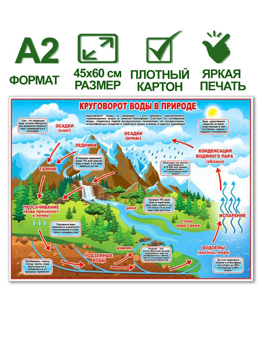 Картинка круговорота воды в природе