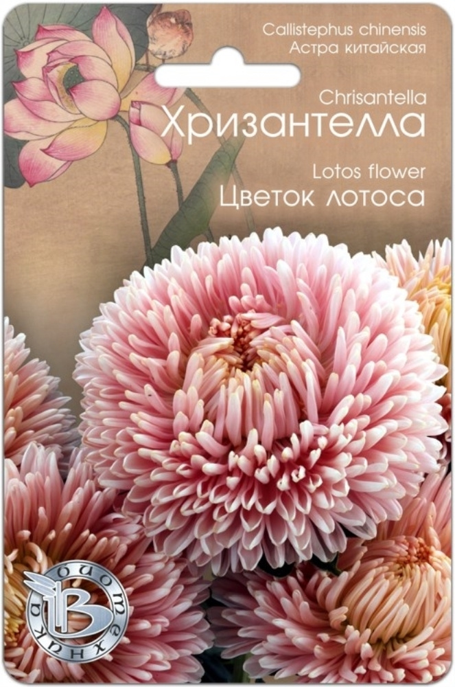 Семена Астры Купить В Интернет Магазине