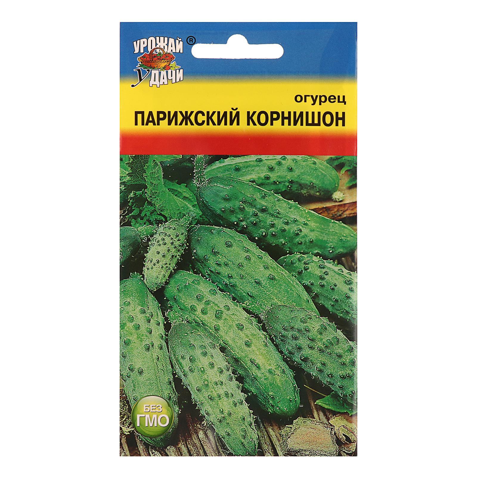 Огурцы Парижский Корнишон Отзывы Фото Урожайность